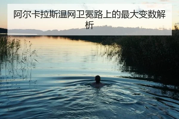 a-er-ka-la-si-wen-wang-wei-mian-lu-shang-de-zui-da-bian-shu-jie-xi-2-164.jpg