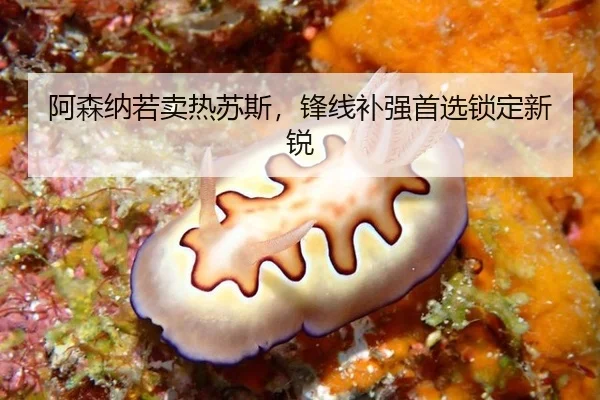 阿森纳若卖热苏斯,锋线补强首选锁定新锐